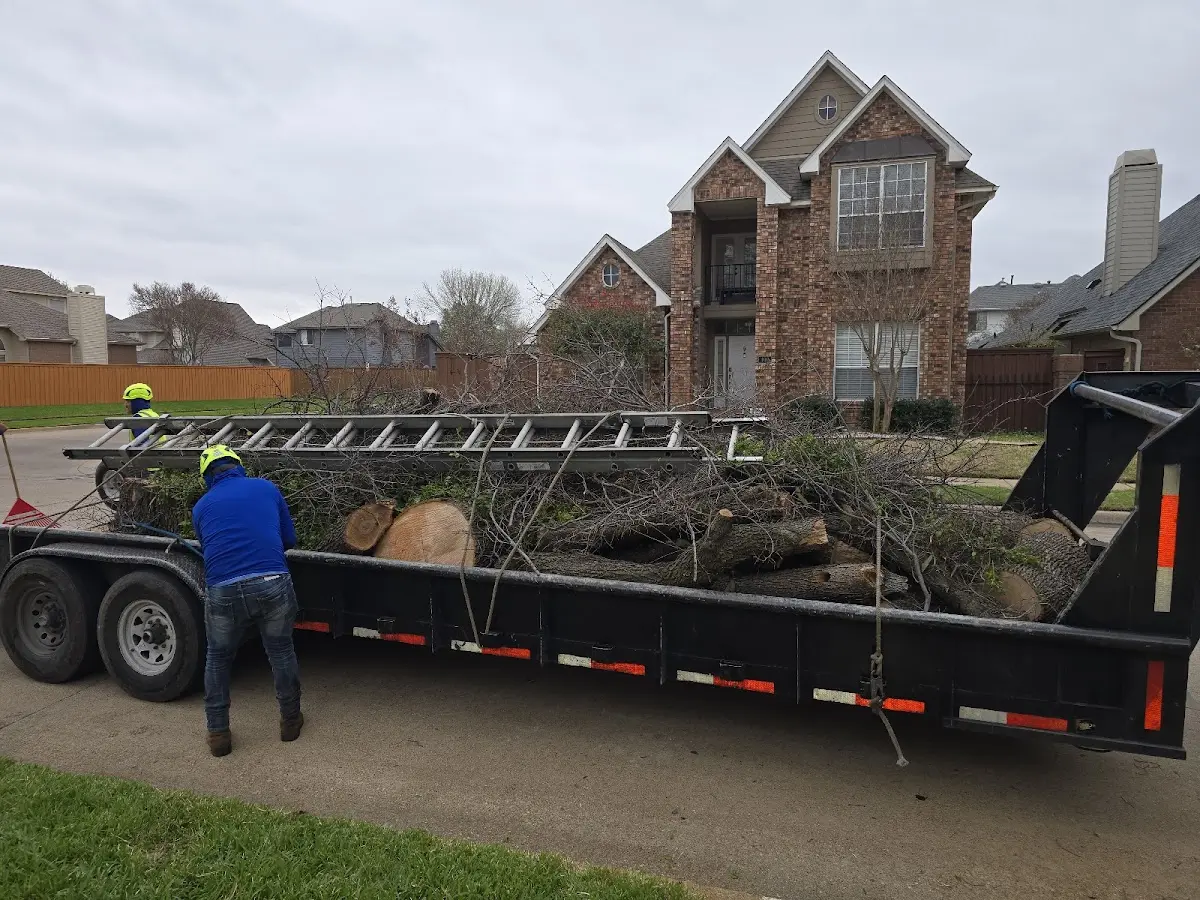 Expert Crown Reduction with proper safety equipment in Lake Grove